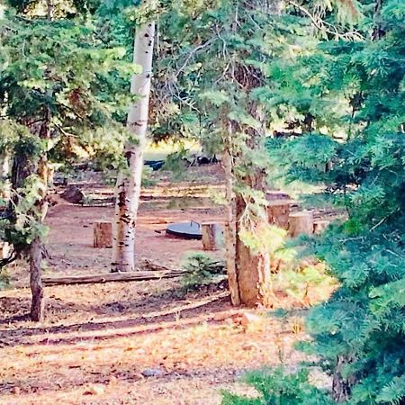 Adventure Awaits 3King Bed,2Bath Log Cabin In Heart Of Duck Creek Village! Dış mekan fotoğraf