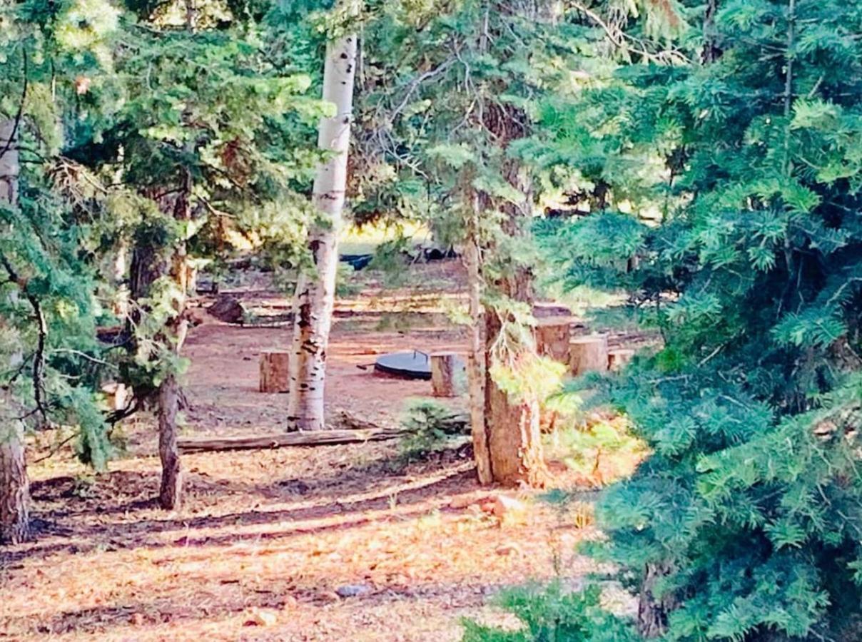Adventure Awaits 3King Bed,2Bath Log Cabin In Heart Of Duck Creek Village! Dış mekan fotoğraf